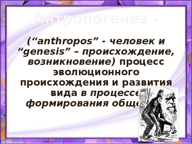 Антропогенез - (“anthropos” - человек и “genesis” – происхождение, возникновение) процесс эволюционного происхождения и развития вида в процессе формирования общества 