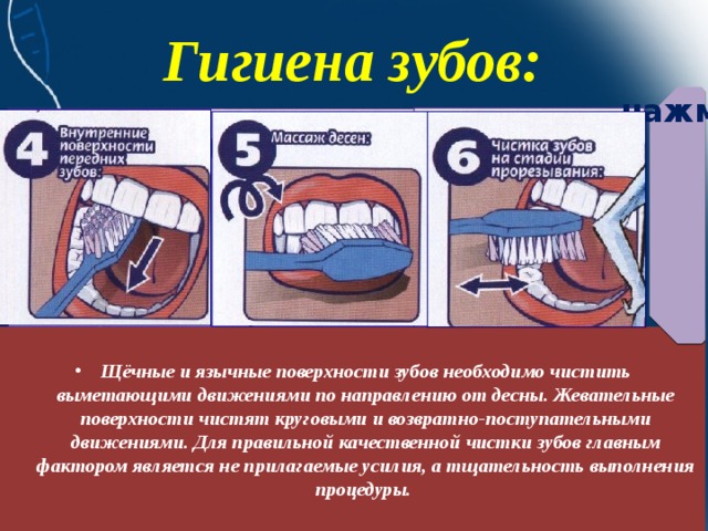 Гигиена зубов: нажми  Щёчные и язычные поверхности зубов необходимо чистить выметающими движениями по направлению от десны. Жевательные поверхности чистят круговыми и возвратно-поступательными движениями. Для правильной качественной чистки зубов главным фактором является не прилагаемые усилия, а тщательность выполнения процедуры.    