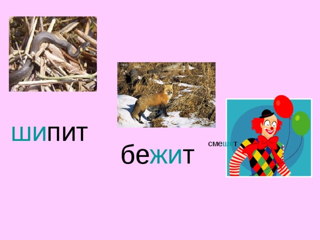 ши пит c ме ши т  бе жи т 