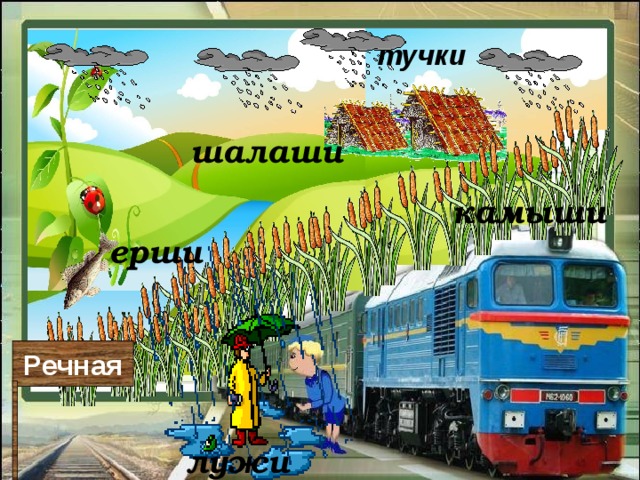 тучки шалаши камыши ерши Речная лужи 
