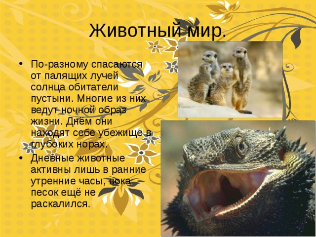 Природные зоны Земли. Пустыни и степи.