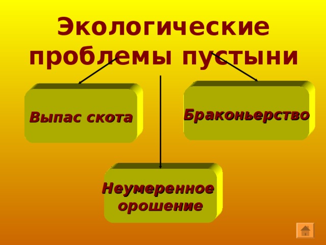 Лисичка – корсак и ушастый ёжик имеют большие уши. Они им нужны для того, чтобы лучше слышать, ведь они ведут ночной образ жизни. Лисичка - корсак Ушастый ёж 