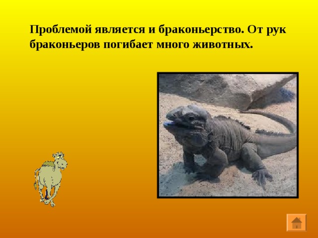 Из – за неумеренного выпаса скота больше стало подвижных песков – животные полностью съедают растения на пастбищах. 