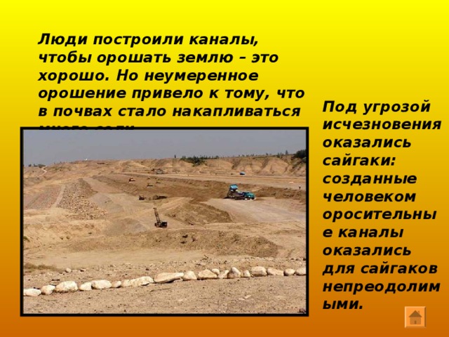 Проблемой является и браконьерство. От рук браконьеров погибает много животных. 