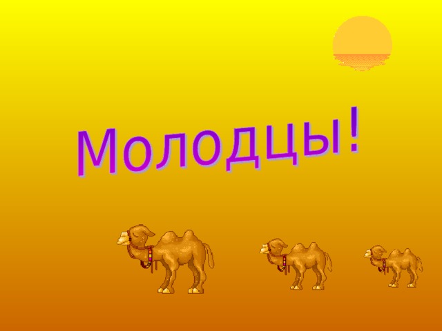 6. Мой ствол – как камень. Весной я красавец. А листья мои тонкие, как вязальные спицы. Саксаул 