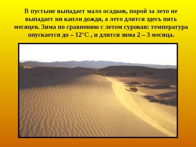 Климат Лето в пустыни жаркое: поверхность земли нагревается днём до +70 ° С , а в тени выше +40 ° С .А ночью прохладно, потому что песок и глина быстро остывают . 