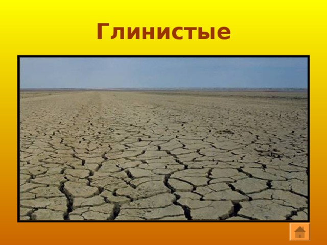 Пустыни  ГЛИНИСТЫЕ КАМЕНИСТЫЕ ПЕСЧАНЫЕ 
