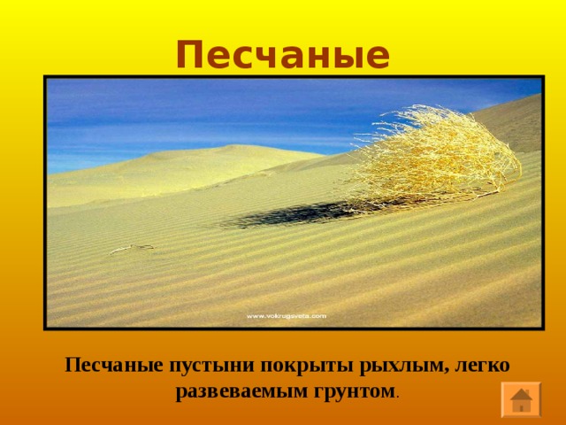 Каменистые Каменистые пустыни покрыты щебнем и камнями, образующими россыпи. 