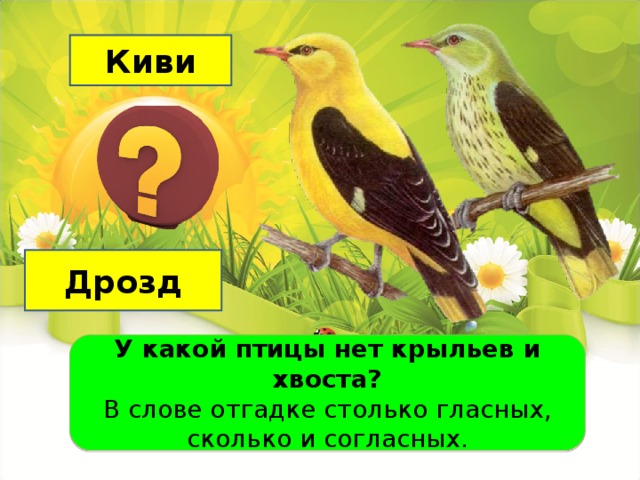 На шесте дворец во Дворце певец а зовут его. Доскажи словечко. Загадка про сороку. Птица говорливая самая болтливая.