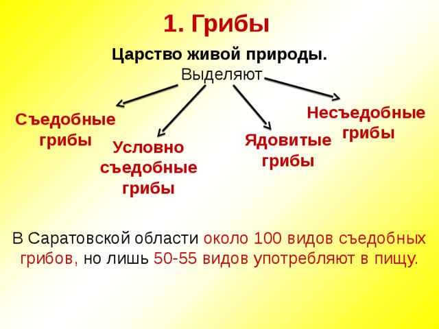 1. Грибы Царство живой природы.  Выделяют В Саратовской области около 100 видов съедобных грибов, но лишь 50-55 видов употребляют в пищу. Несъедобные грибы Съедобные грибы Ядовитые грибы Условно съедобные грибы 