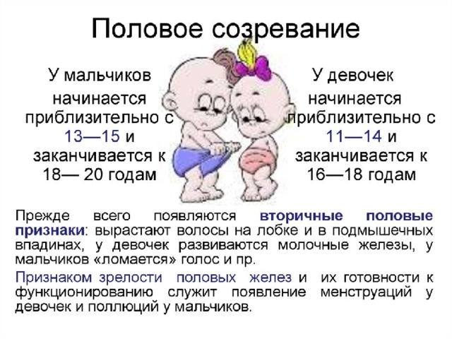 половое созревание девочек Daily Mail: из-за духов и косметики у девочек раньше наступает половое  созревание | Узнай.ру
