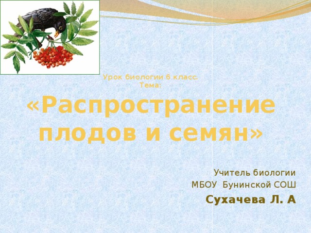   Урок биологии 6 класс.  Тема:  «Распространение плодов и семян» Учитель биологии МБОУ Бунинской СОШ Сухачева Л. А   