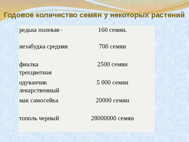  Годовое количество семян у некоторых растений редька полевая– 160 семян. незабудка средняя фиалка трехцветная 700 семян 2500 семян одуванчик лекарственный мак самосейка 5 000 семян 20000 семян тополь черный 28000000 семян 