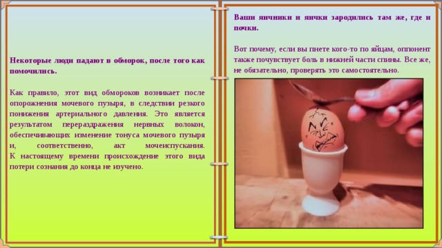 Ваши яичники и яички зародились там же, где и почки.   Вот почему, если вы пнете кого-то по яйцам, оппонент также почувствует боль в нижней части спины. Все же, не обязательно, проверять это самостоятельно. Некоторые люди падают в обморок, после того как помочились.   Как правило, этот вид обмороков возникает после опорожнения мочевого пузыря, в следствии резкого понижения артериального давления. Это является результатом перераздражения нервных волокон, обеспечивающих изменение тонуса мочевого пузыря и, соответственно, акт мочеиспускания.  К настоящему времени происхождение этого вида потери сознания до конца не изучено. 