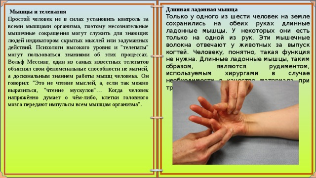    Мышцы и телепатия Простой человек не в силах установить контроль за всеми мышцами организма, поэтому несознательные мышечные сокращения могут служить для знающих людей индикатором скрытых мыслей или задуманных действий. Психологи высокого уровня и 