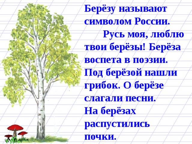 Берёзу называют символом России. Русь моя, люблю твои берёзы! Берёза воспета в поэзии. Под берёзой нашли грибок. О берёзе слагали песни. На берёзах распустились почки. 