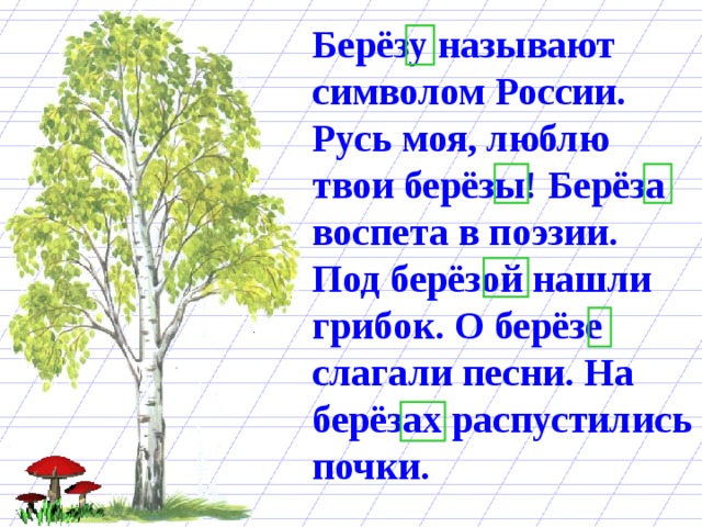 Берёзу называют символом России. Русь моя, люблю твои берёзы! Берёза воспета в поэзии. Под берёзой нашли грибок. О берёзе слагали песни. На берёзах распустились почки. 