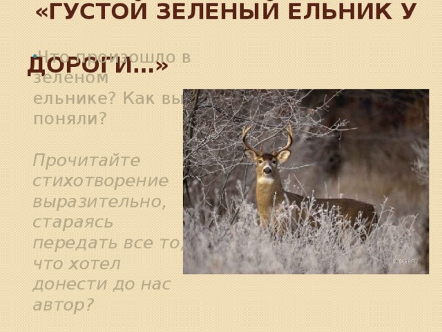 И.Бунин   «Густой зеленый ельник у   дороги…» Что произошло в зеленом ельнике? Как вы поняли? Прочитайте стихотворение выразительно, стараясь передать все то, что хотел донести до нас автор? 