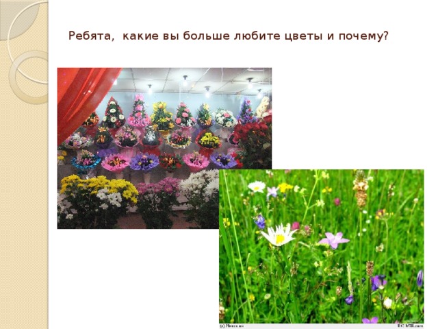 Ребята, какие вы больше любите цветы и почему? 