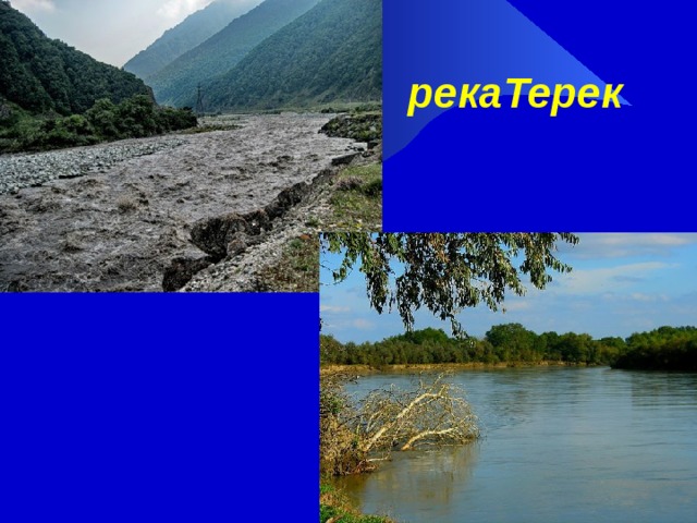 Картинки к стиху дары терека