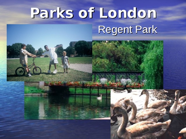 Parks of London Regent Park 
