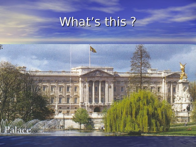 What’s this ? 