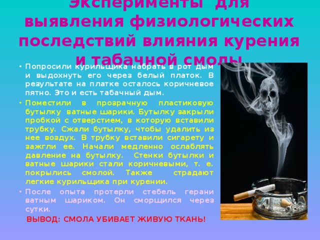 Эксперименты для выявления физиологических последствий влияния курения и табачной смолы Попросили курильщика набрать в рот дым и выдохнуть его через белый платок. В результате на платке осталось коричневое пятно. Это и есть табачный дым. Поместили в прозрачную пластиковую бутылку ватные шарики. Бутылку закрыли пробкой с отверстием, в которую вставили трубку. Сжали бутылку, чтобы удалить из нее воздух. В трубку вставили сигарету и зажгли ее. Начали медленно ослаблять давление на бутылку. Стенки бутылки и ватные шарики стали коричневыми, т. е. покрылись смолой. Также страдают легкие курильщика при курении. После опыта протерли стебель герани ватным шариком. Он сморщился через сутки. ВЫВОД: СМОЛА УБИВАЕТ ЖИВУЮ ТКАНЬ!  