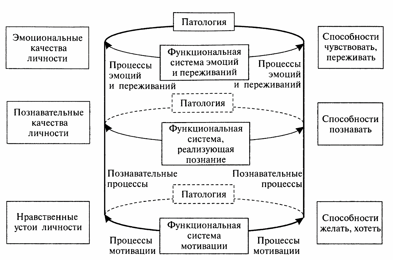 Развитие познавательных процессов в младшем школьном возрасте схема