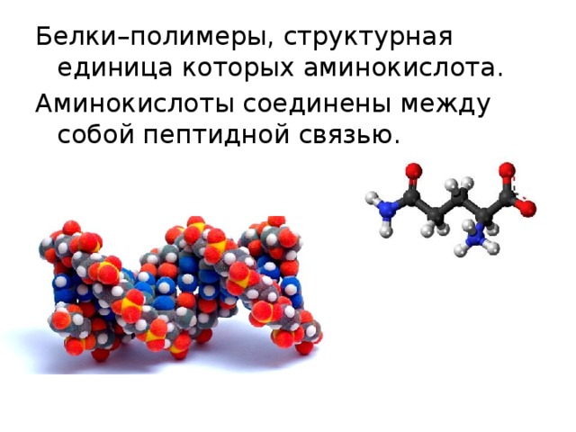 Амин полимер. Белки полимеры. Амины аминокислоты белки полимеры.