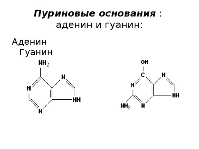 Аденин формула структурная фото