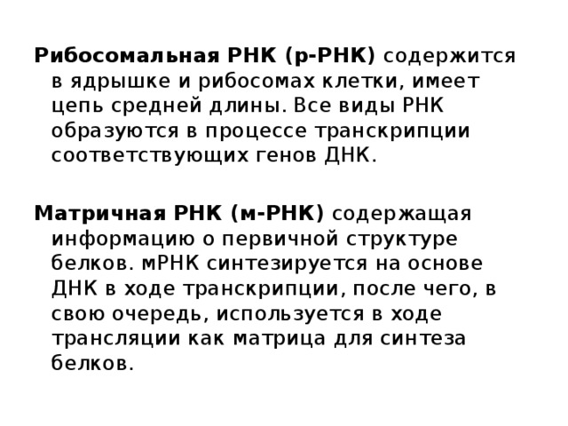 Рибосомальная РНК (р-РНК) содержится в ядрышке и рибосомах клетки, имеет цепь средней длины. Все виды РНК образуются в процессе транскрипции соответствующих генов ДНК. Матричная РНК (м-РНК) содержащая информацию о первичной структуре белков. мРНК синтезируется на основе ДНК в ходе транскрипции, после чего, в свою очередь, используется в ходе трансляции как матрица для синтеза белков. 