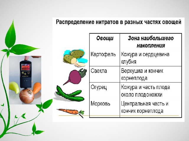 Аммиака нитритов нитратов. Обнаружение нитратов в растениях. Измерение нитратов в овощах. Способы определения нитратов в овощах. Накопление нитратов в овощах.