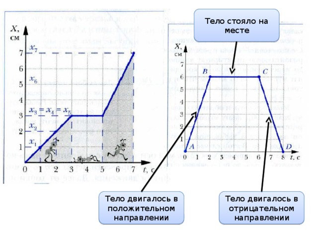 Тело стояло на месте Тело двигалось в положительном направлении Тело двигалось в отрицательном направлении 