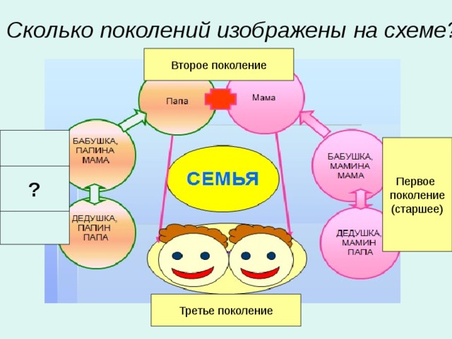 Семьи по количеству поколений