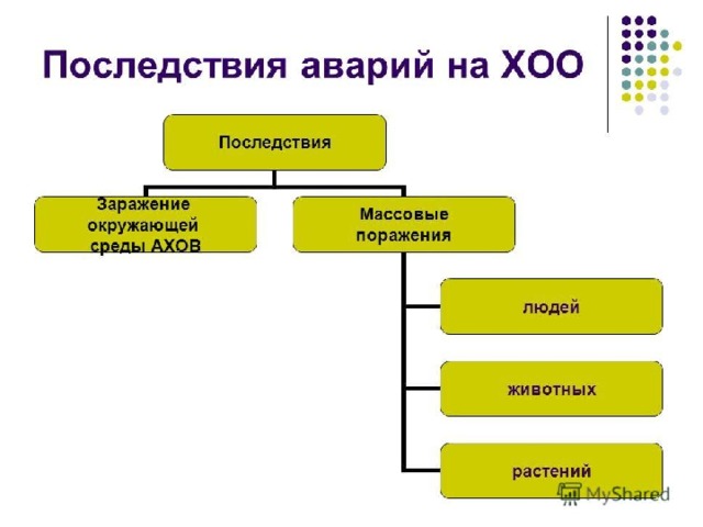 Последствиями аварий на ХОО могут быть: заражение окружающей среды опасными ядовитыми веществами и массовые поражения людей, животных и растений. 