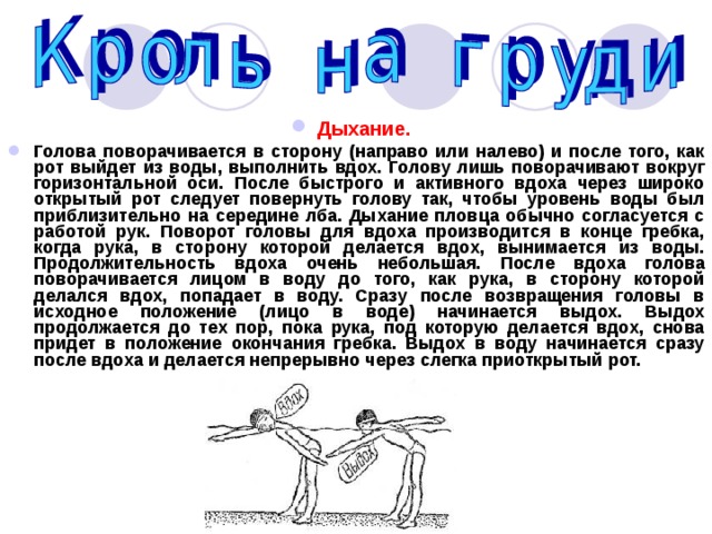 Дыхание.   Голова поворачивается в сторону (направо или налево) и после того, как рот выйдет из воды, выполнить вдох. Голову лишь поворачивают вокруг горизонтальной оси. После быстрого и активного вдоха через широко открытый рот следует повернуть голову так, чтобы уровень воды был приблизительно на середине лба. Дыхание пловца обычно согласуется с работой рук. Поворот головы для вдоха производится в конце гребка, когда рука, в сторону которой делается вдох, вынимается из воды. Продолжительность вдоха очень небольшая. После вдоха голова поворачивается лицом в воду до того, как рука, в сторону которой делался вдох, попадает в воду. Сразу после возвращения головы в исходное положение (лицо в воде) начинается выдох. Выдох продолжается до тех пор, пока рука, под которую делается вдох, снова придет в положение окончания гребка. Выдох в воду начинается сразу после вдоха и делается непрерывно через слегка приоткрытый рот. 