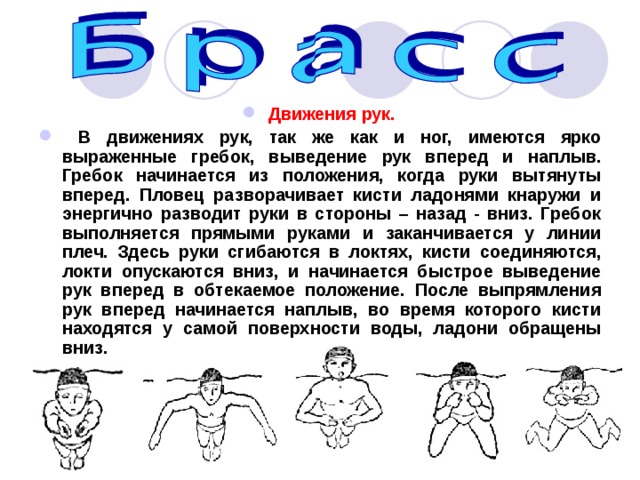 Движения рук.  В движениях рук, так же как и ног, имеются ярко выраженные гребок, выведение рук вперед и  наплыв. Гребок начинается из положения, когда руки вытянуты вперед. Пловец разворачивает кисти ладонями кнаружи и энергично разводит руки в стороны – назад - вниз. Гребок выполняется прямыми руками и заканчивается у линии плеч. Здесь руки сгибаются в локтях, кисти соединяются, локти опускаются вниз, и начинается быстрое выведение рук вперед в обтекаемое положение. После выпрямления рук вперед начинается наплыв, во время которого кисти находятся у самой поверхности воды, ладони обращены вниз. 