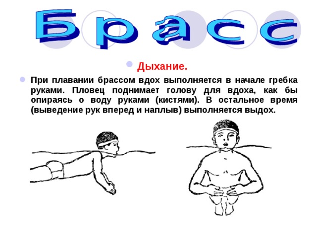 Дыхание. При плавании брассом вдох выполняется в начале гребка руками. Пловец поднимает голову для вдоха, как бы опираясь о воду руками (кистями). В остальное время (выведение рук вперед и наплыв) выполняется выдох. 