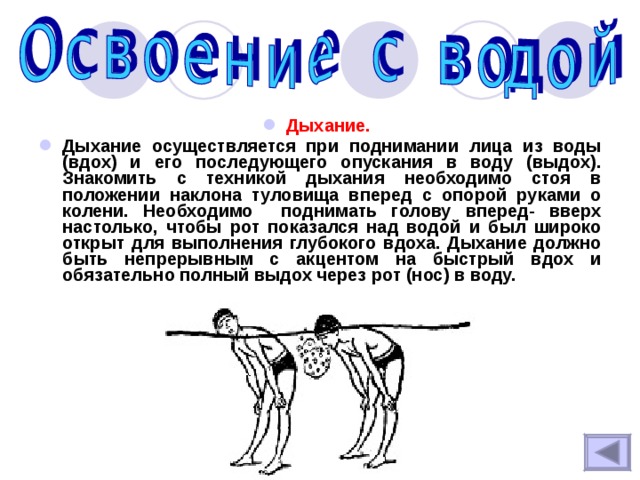 Дыхание.  Дыхание осуществляется при поднимании лица из воды (вдох) и его последующего опускания в воду (выдох). Знакомить с техникой дыхания необходимо стоя в положении наклона туловища вперед с опорой руками о колени. Необходимо поднимать голову вперед- вверх настолько, чтобы рот показался над водой и был широко открыт для выполнения глубокого вдоха. Дыхание должно быть непрерывным с акцентом на быстрый вдох и обязательно полный выдох через рот (нос) в воду. 