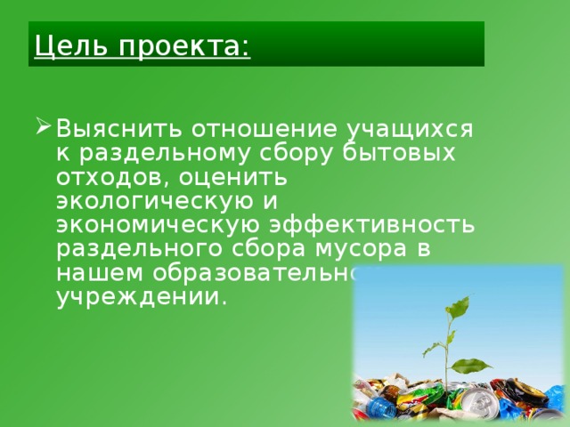 Чистое будущее в чистом настоящем проект