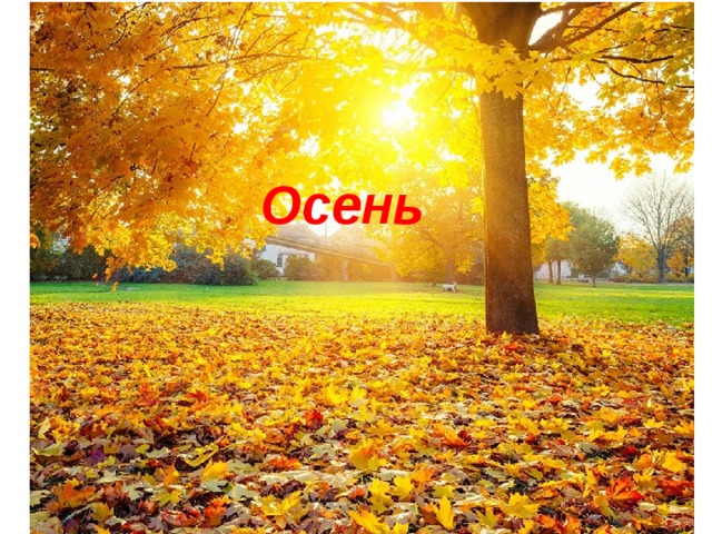 Осень 