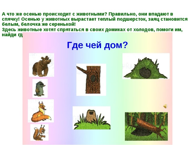 А что же осенью происходит с животными? Правильно, они впадают в спячку! Осенью у животных вырастает теплый подшерсток, заяц становится белым, белочка же серенькой!  Здесь животные хотят спрятаться в своих домиках от холодов, помоги им, найди где чей домик! 