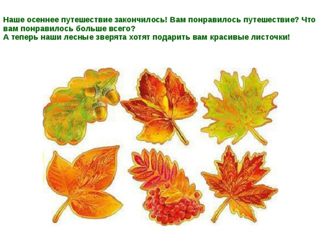 Наше осеннее путешествие закончилось! Вам понравилось путешествие? Что вам понравилось больше всего?  А теперь наши лесные зверята хотят подарить вам красивые листочки!    