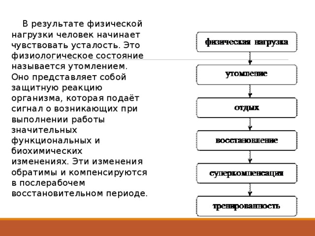  В результате физической нагрузки человек начинает чувствовать усталость. Это физиологическое состояние называется утомлением.  Оно представляет собой защитную реакцию организма, которая подаёт сигнал о возникающих при выполнении работы значительных функциональных и биохимических изменениях. Эти изменения обратимы и компенсируются в послерабочем восстановительном периоде.  