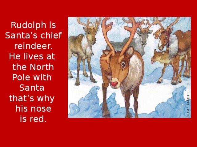 Rudolph is Santa’s chief reindeer. He lives at the North Pole with Santa that’s why his nose is red. 