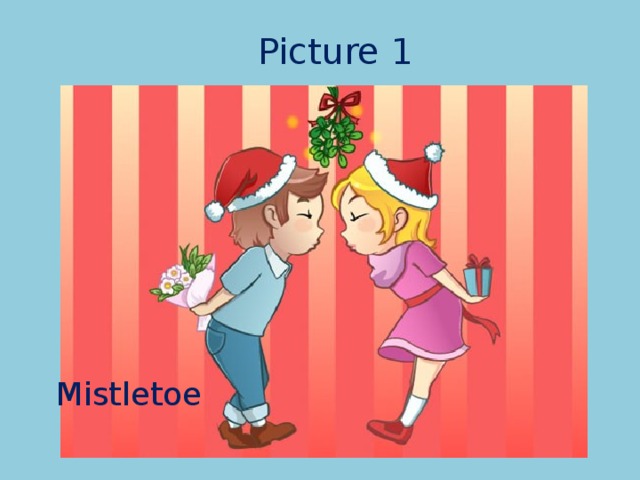 Picture 1 Mistletoe 