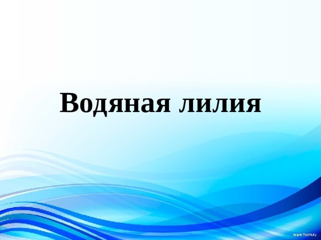 Водяная лилия 