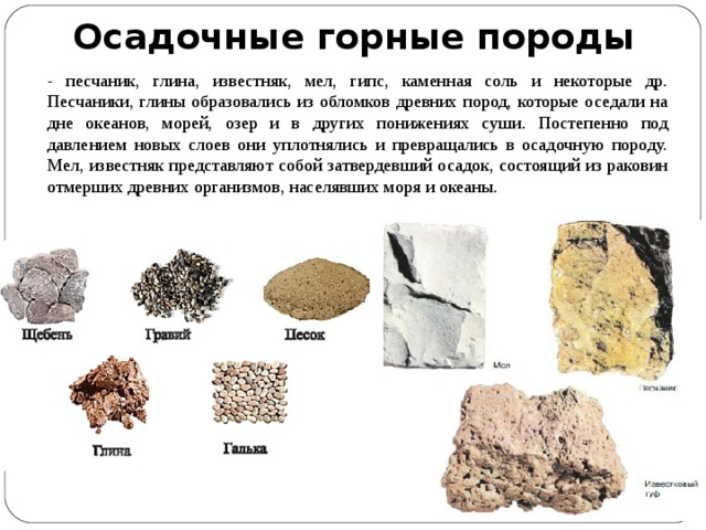 К какой группе горных пород относится песок. Песчаник минерал или Горная порода. Песчаник осадочная Горная порода. Структура породы песчаник. Известняк осадочная порода.