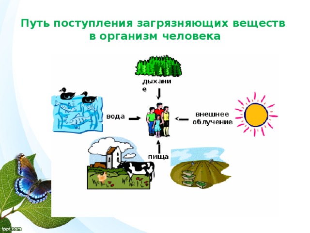 Экологическая безопасность презентация 3 класс плешаков школа россии