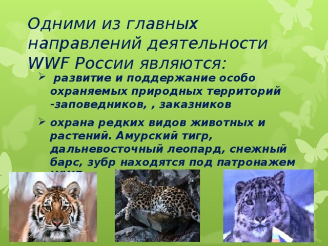 Если вам предлагают участвовать в проекте который через 2 года принесет 1500